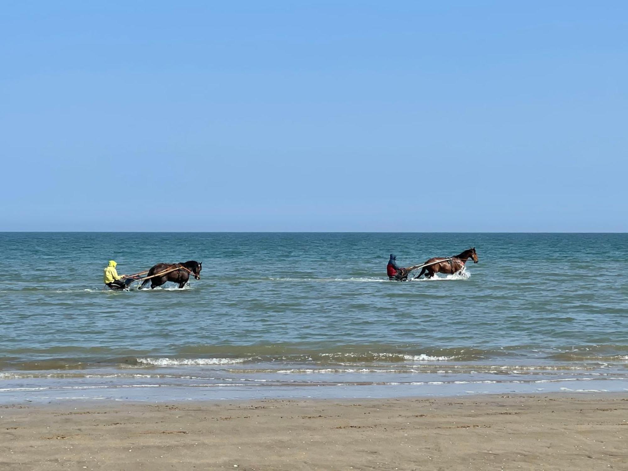 Pressoir De La Mare Superhote 12 Minutes De Cabourg Goustranville エクステリア 写真